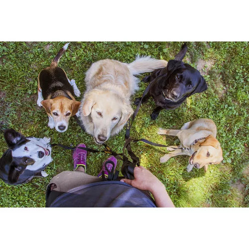 Spletna trgovina Mr.Pet