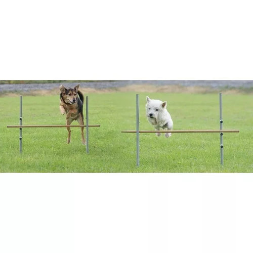 Spletna trgovina Mr.Pet