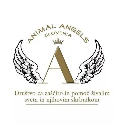 Društvo za zaščito in pomoč Animal Angels