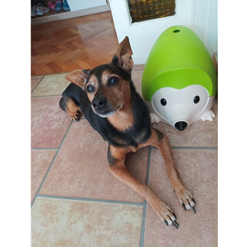 Mr.Pet spletna trgovina