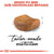 Royal Canin British Shorthair Adult - 2 kg (2)