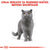 Royal Canin British Shorthair Adult - 2 kg (4)