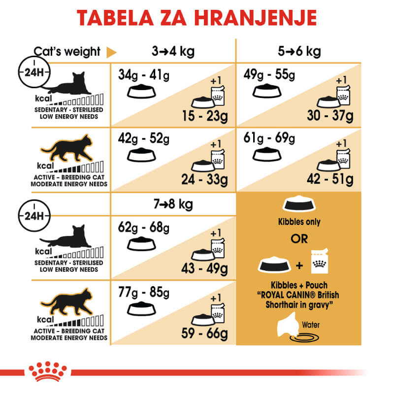 Royal Canin British Shorthair Adult - 2 kg (5)