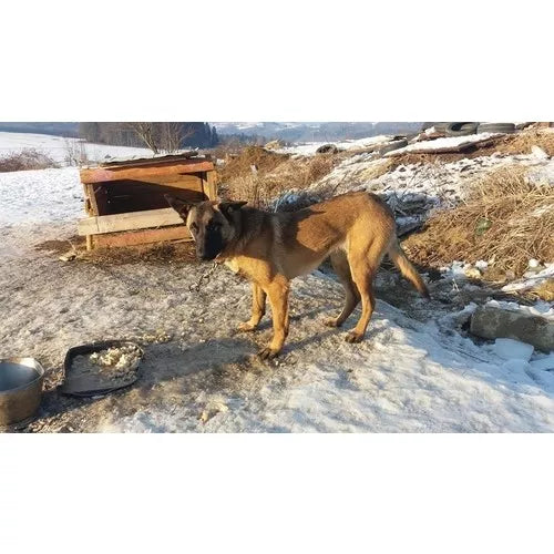 Spletna trgovina Mr.Pet