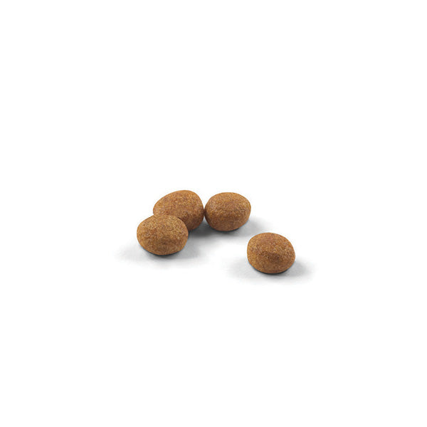 Royal Canin Sterilised - 10 kg (2)