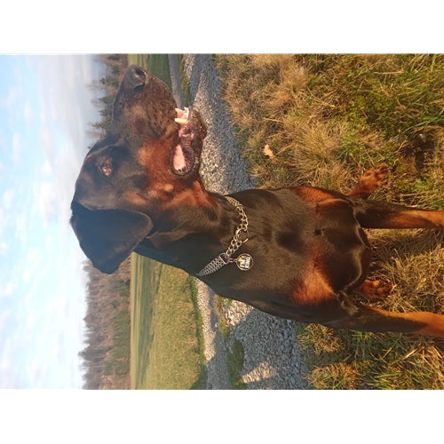 Mr.Pet spletna trgovina