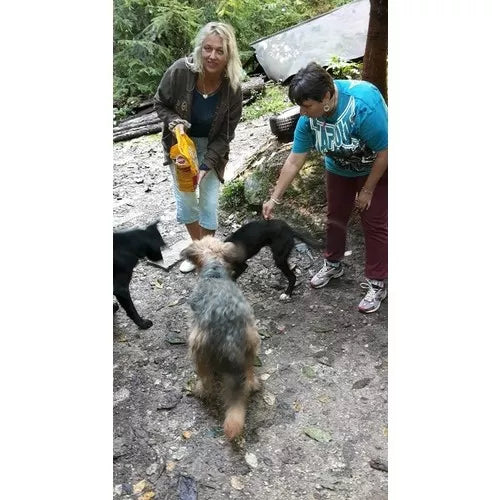 Spletna trgovina Mr.Pet