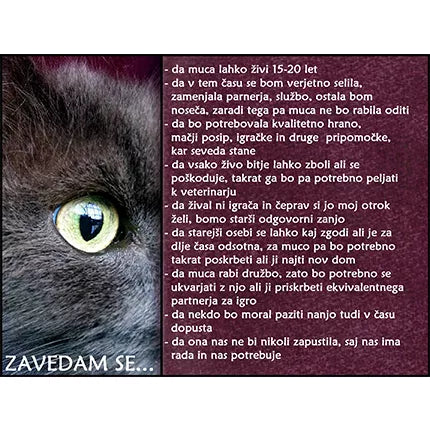 Spletna trgovina Mr.Pet