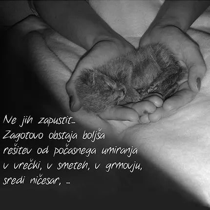 Spletna trgovina Mr.Pet