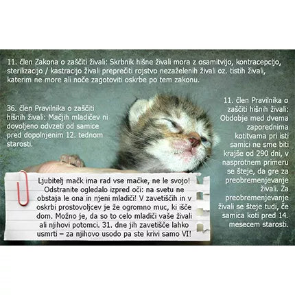 Spletna trgovina Mr.Pet