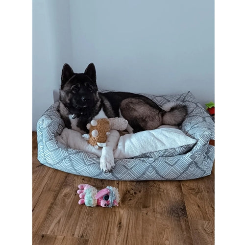 Mr.Pet spletna trgovina