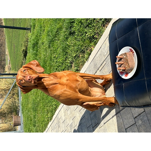 Mr.Pet spletna trgovina