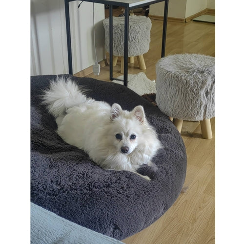 Mr.Pet spletna trgovina