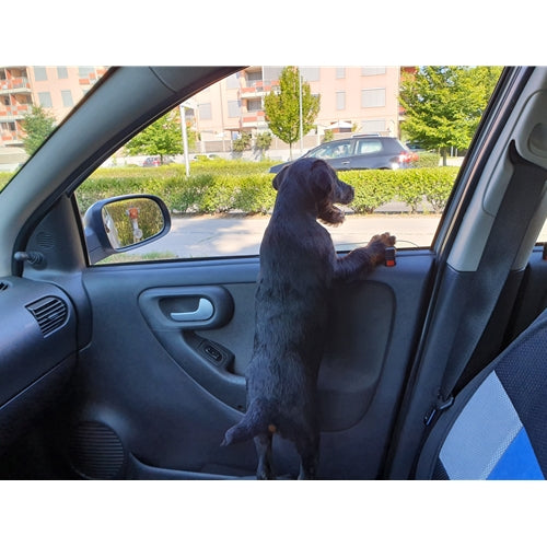 Mr.Pet spletna trgovina