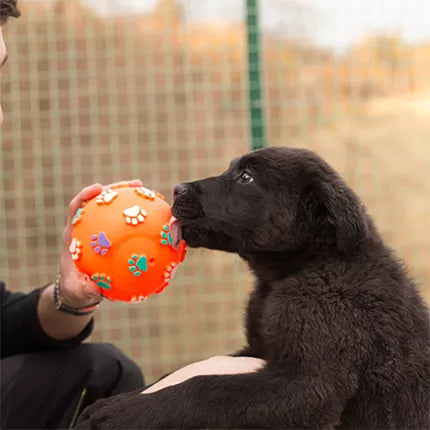 Spletna trgovina Mr.Pet