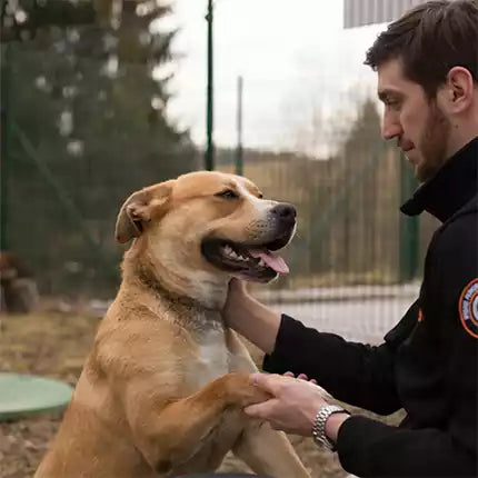 Spletna trgovina Mr.Pet