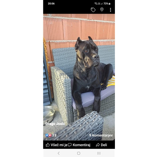 Mr.Pet spletna trgovina