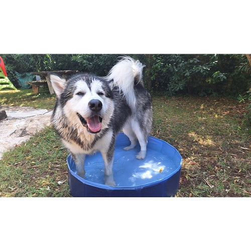 Mr.Pet spletna trgovina