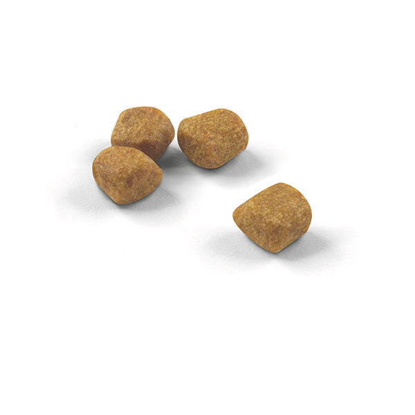 Royal Canin Indoor +7 - 1,5 kg (2)