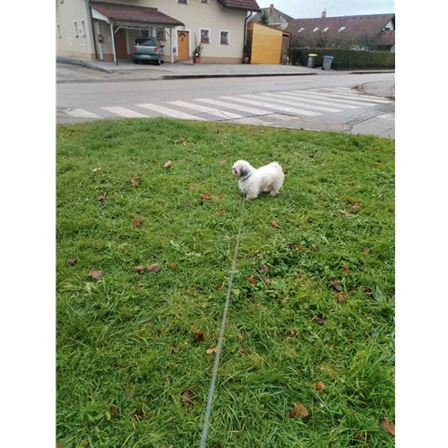 Mr.Pet spletna trgovina