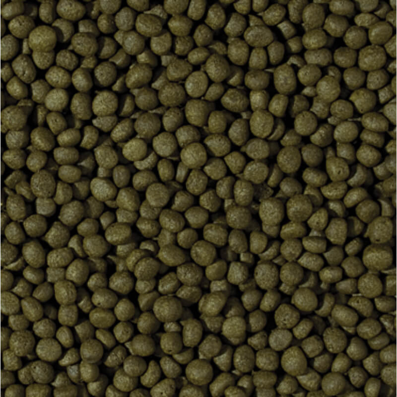 Tropical Cichlid Herbivore Medium Pellet - 500 ml / 180 g (2)
