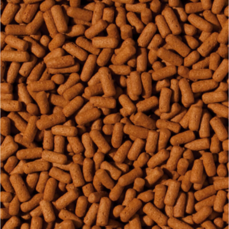 Tropical Cichlid & Arowana Large Sticks - 1000 ml / 300 g (2)