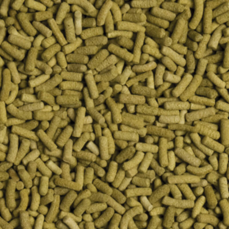 Tropical Biorept L - 500 ml / 140 g (2)