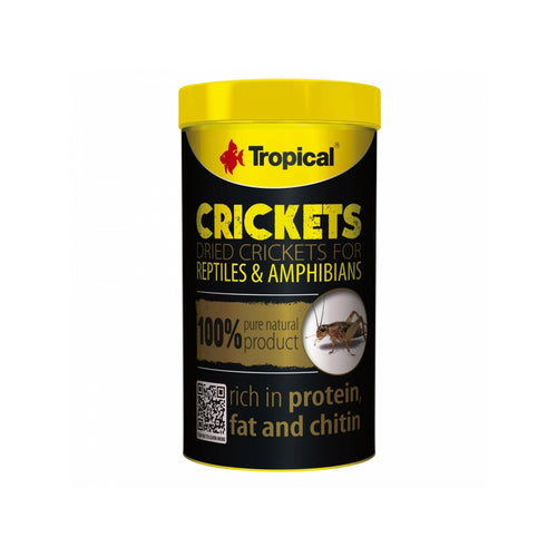 Tropical Crickets - 250 ml / 25 g