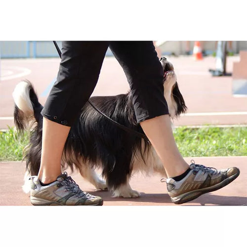 Spletna trgovina Mr.Pet