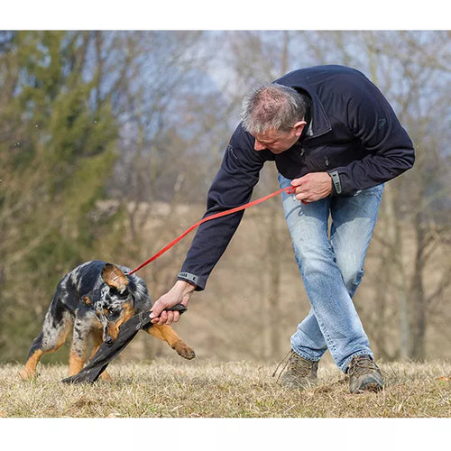 Spletna trgovina Mr.Pet