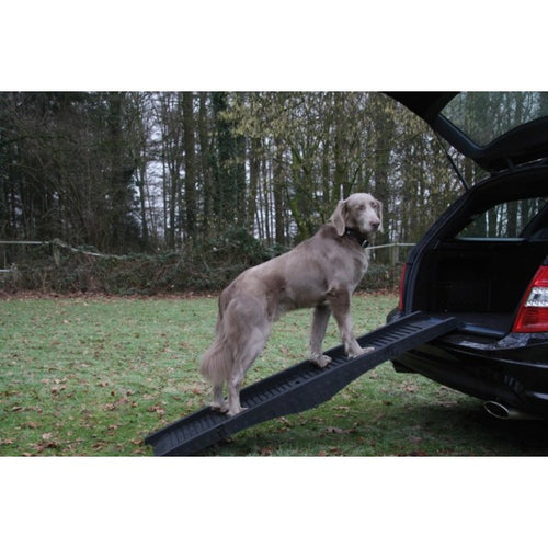 Nobby rampa za pse - 40 x 152 cm