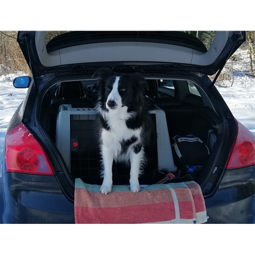Mr.Pet spletna trgovina