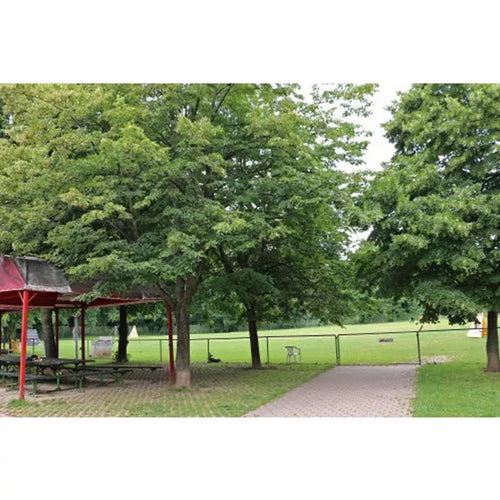 Spletna trgovina Mr.Pet