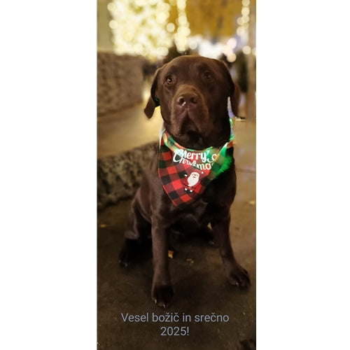 Mr.Pet spletna trgovina