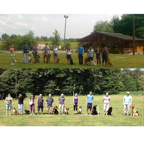 Spletna trgovina Mr.Pet