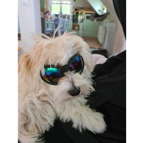 Mr.Pet spletna trgovina