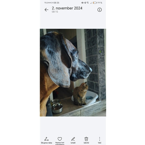 Spletna trgovina Mr.Pet