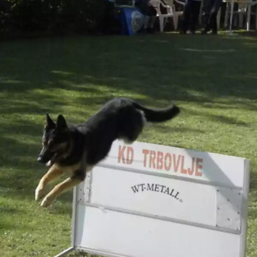 Mr.Pet spletna trgovina