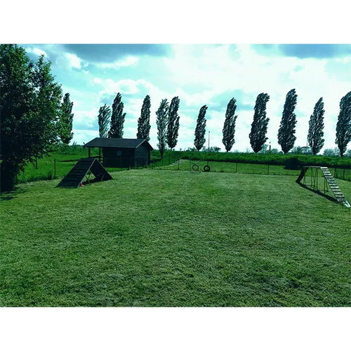 Spletna trgovina Mr.Pet