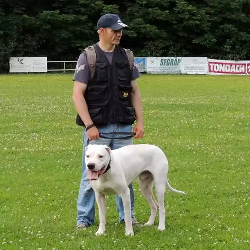 Spletna trgovina Mr.Pet