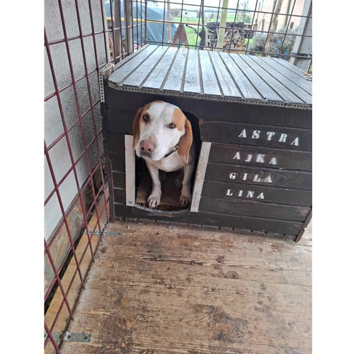 Spletna trgovina Mr.Pet