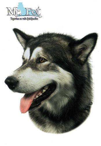 Pasemske nalepke, različne pasme (2 kos) - aljaški malamut