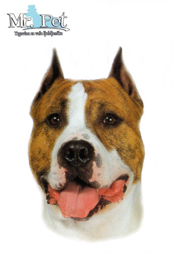 Pasemske nalepke, različne pasme (2 kos) - staffordshirski terier