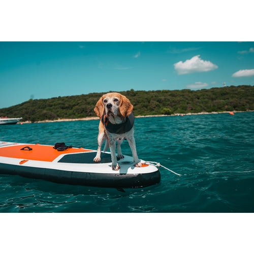 Mr.Pet spletna trgovina