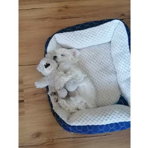 Mr.Pet spletna trgovina