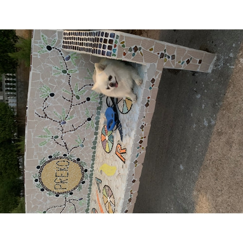Mr.Pet spletna trgovina