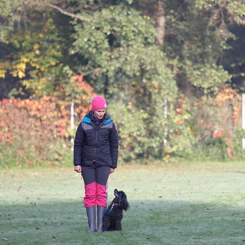 Spletna trgovina Mr.Pet