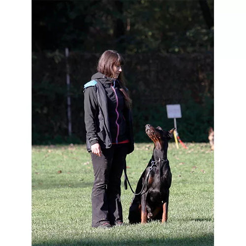 Spletna trgovina Mr.Pet