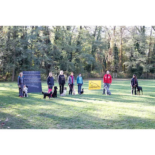 Spletna trgovina Mr.Pet