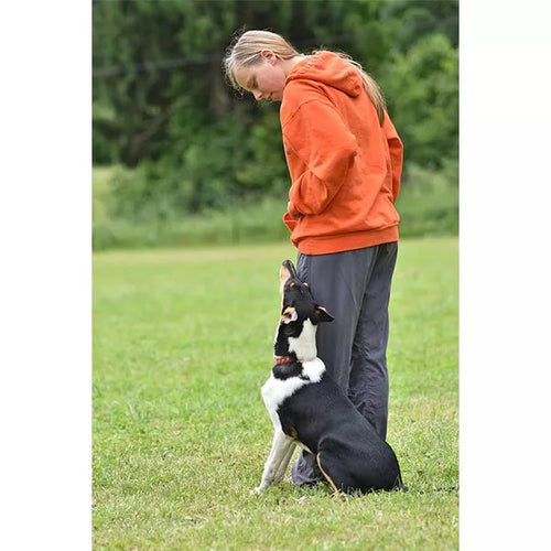 Spletna trgovina Mr.Pet